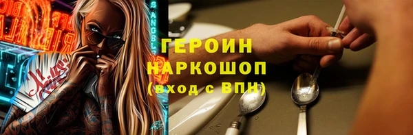 гашик Алексин