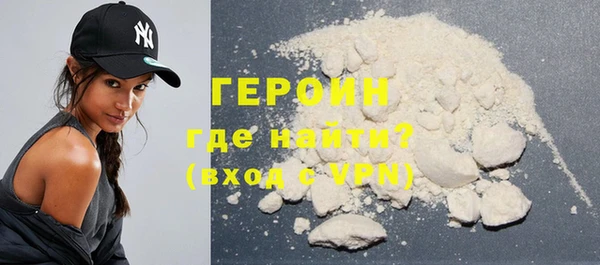 гашик Алексин